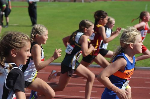 2024 Colgate Games photo